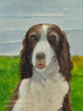Duke - English springer spaniel pet portrait
